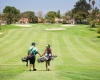 Rodzaje torb golfowych - czym się od siebie różnią?